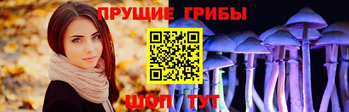 Чернушка  Псилоцибиновые грибы Cubensis  купить  сайты  Псилоцибиновые грибы мицелий  Вход с VPN 